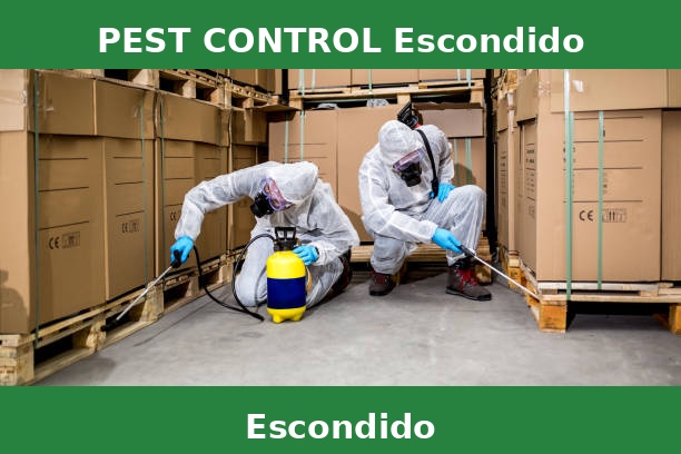 PEST CONTROL Escondido